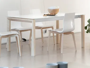 Tavolo allungabile con piano in vetro temprato e gambe in legno Universe 160 L di Domitalia